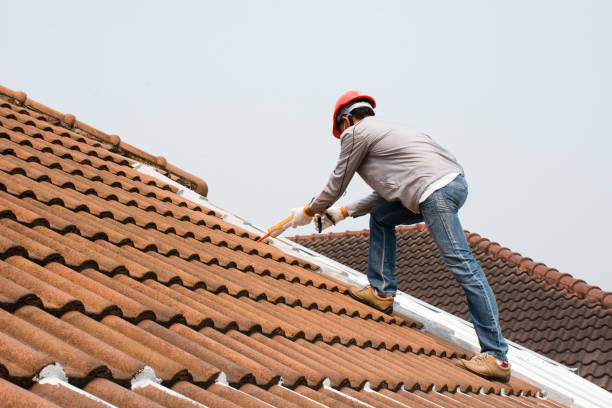 Best Roof Moss and Algae Removal  in Cottonwood, ID