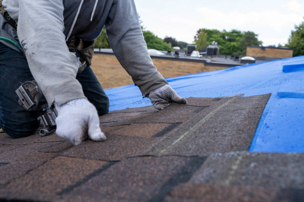 Best Roof Ventilation Installation  in Cottonwood, ID